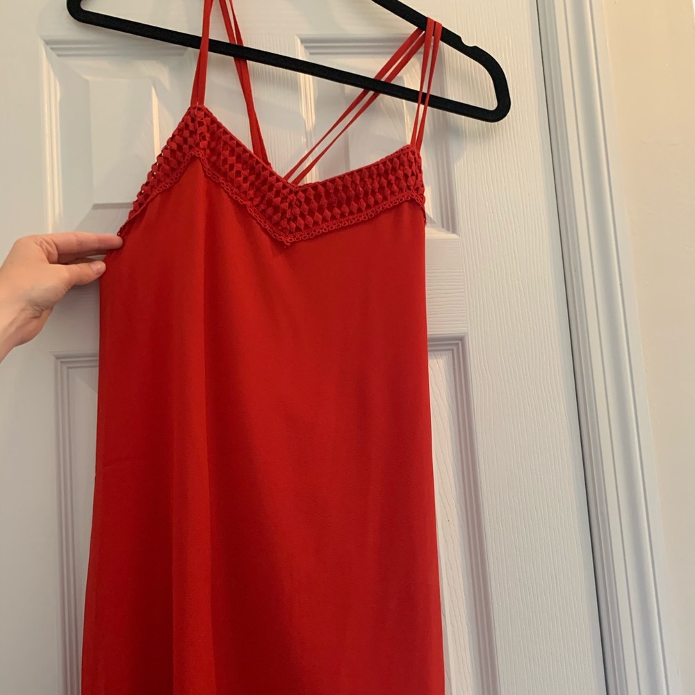 Naked Zebra Red Dress